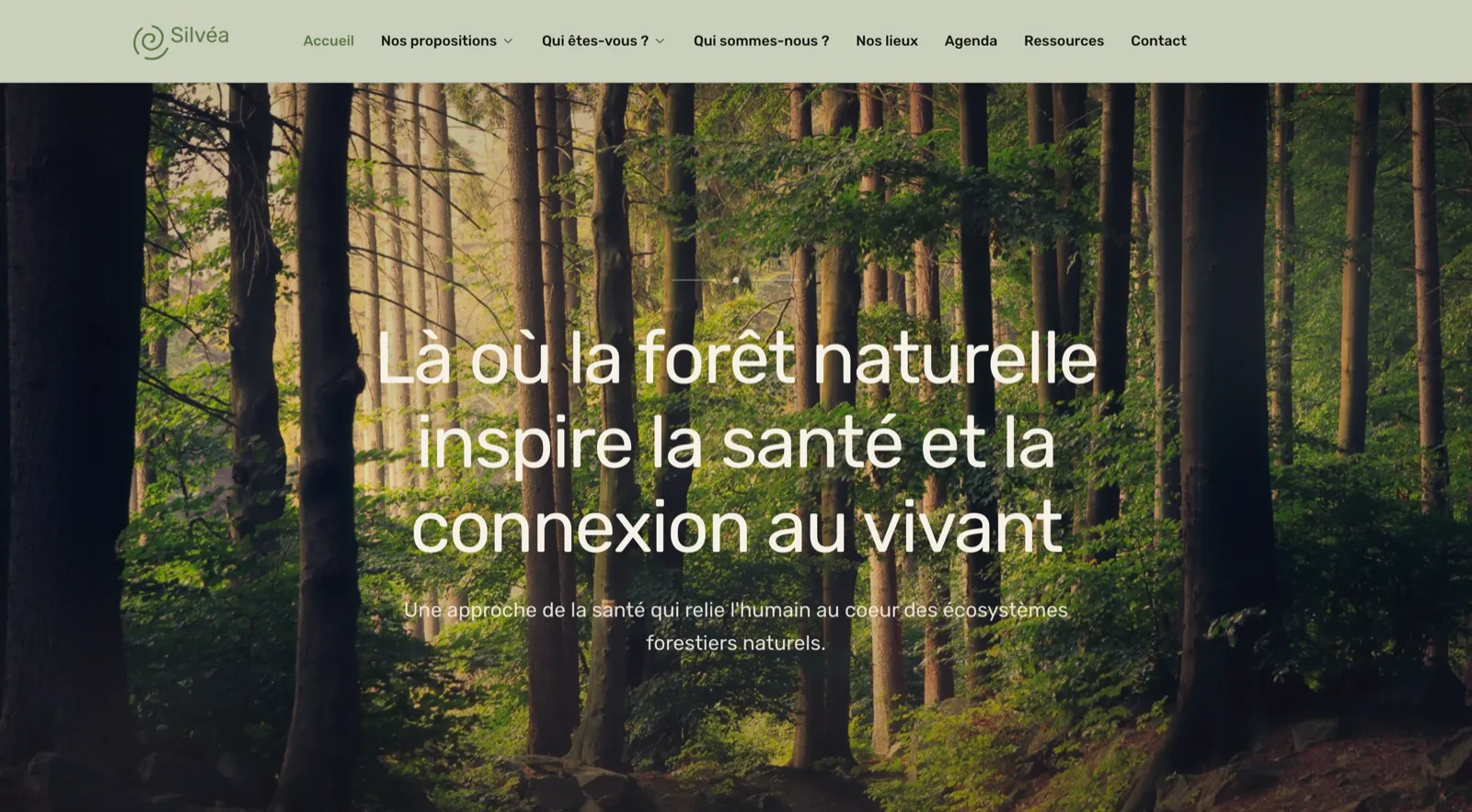 silvea.org homepage — full-screen forest hero
