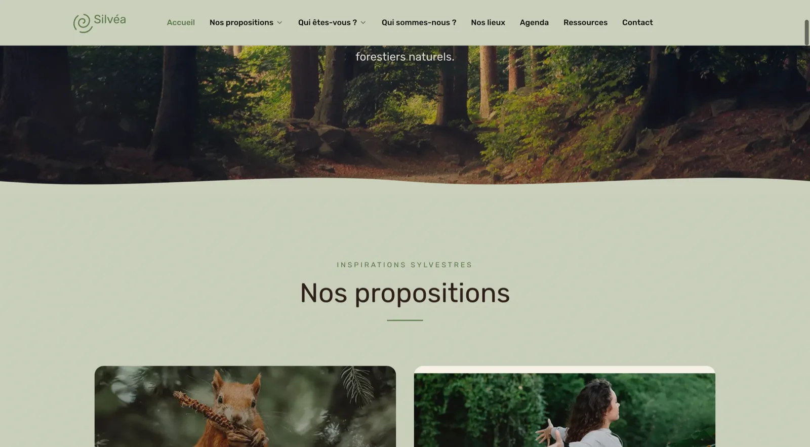 The “Our offerings” section of the Silvéa website